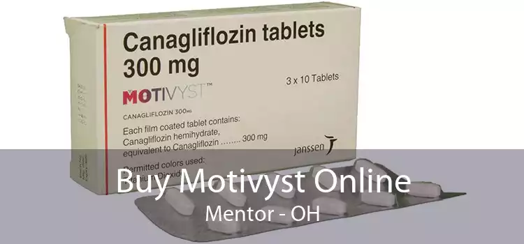Buy Motivyst Online Mentor - OH