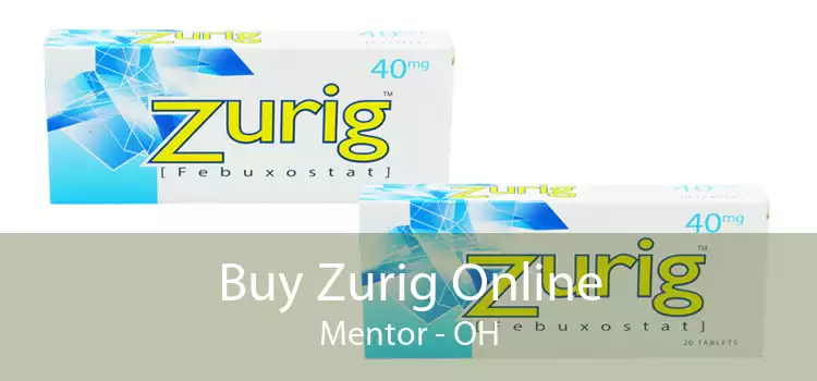 Buy Zurig Online Mentor - OH