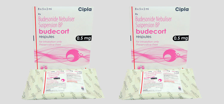 order cheaper budecort online in Ada, OH