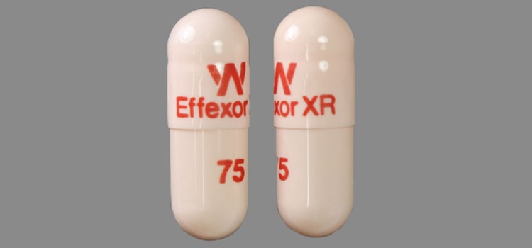 order cheaper effexor online in Mentor, OH